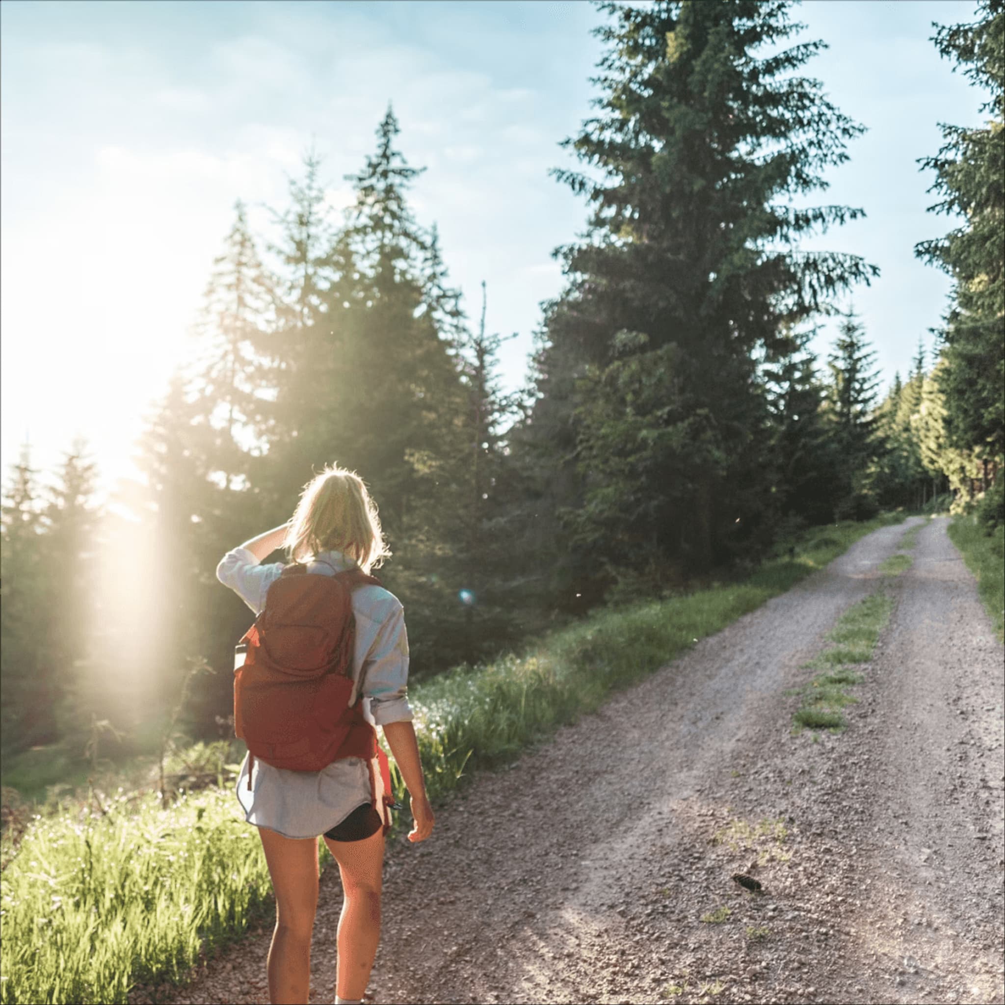 Hiker with a backpack walking along a forest path, surrounded by lush trees and sunlight.